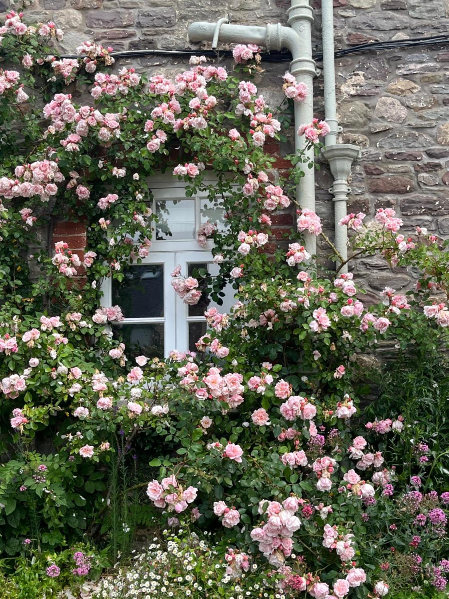 The Cottage Abergavenny Buitenkant foto